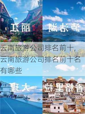 云南旅游公司排名前十,云南旅游公司排名前十名有哪些